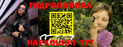 спиды Гатчина