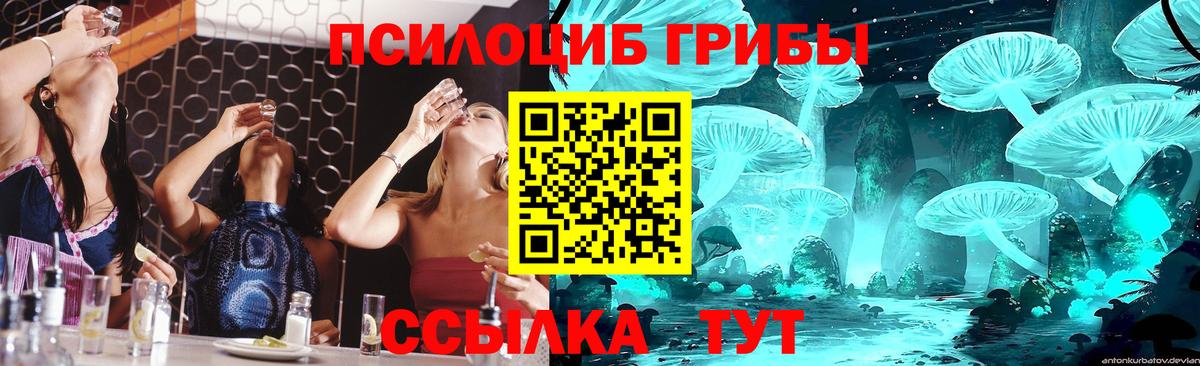 Наро-Фоминск  Псилоцибиновые грибы мицелий  Псилоцибиновые грибы мицелий  Вход с VPN 